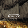 resim_2024-09-07_185933074 Connecticut Tobacco