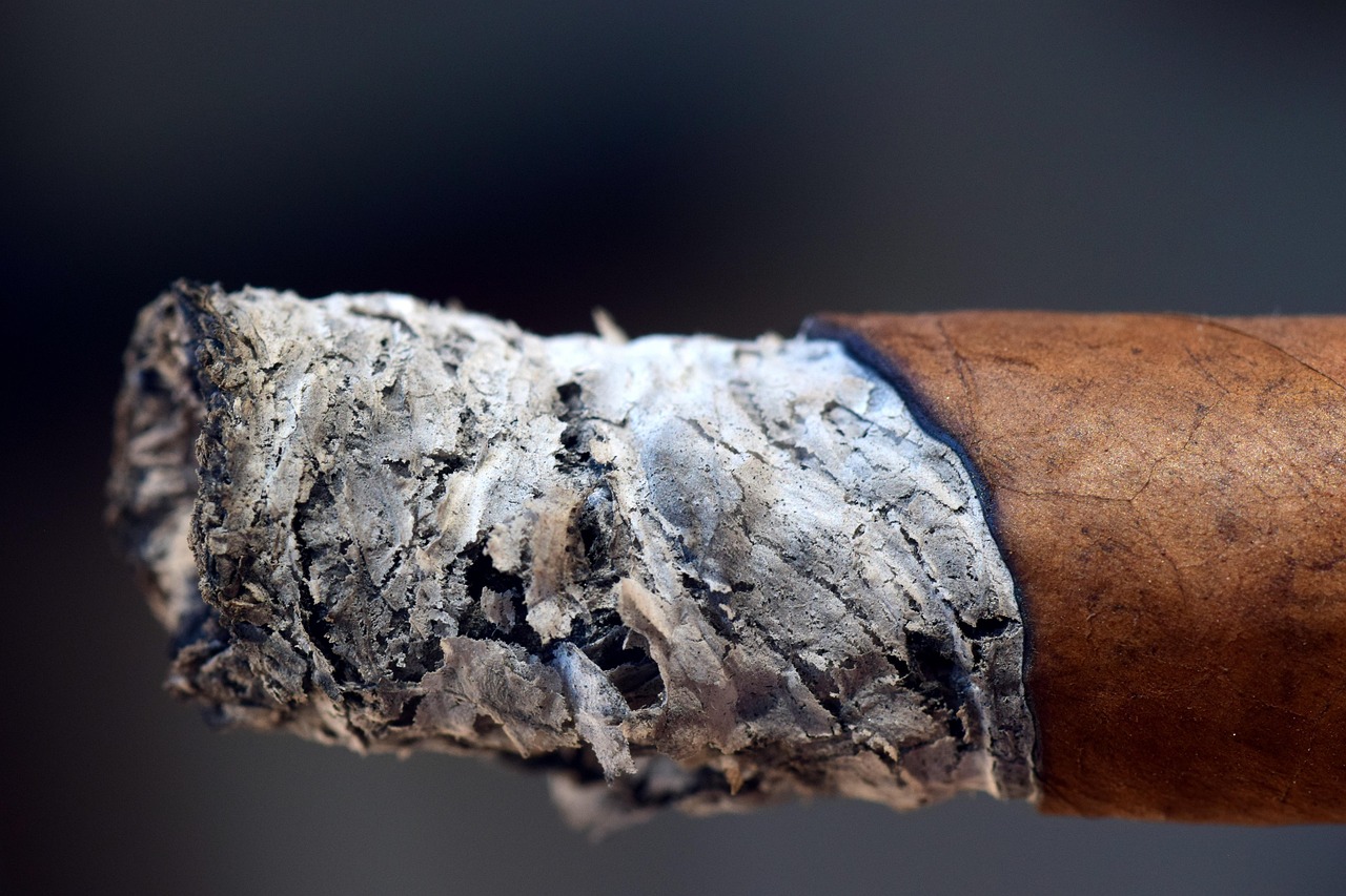 ash, cigar, smoking, enjoy, tobacco, tobacco leaves, much, a lot of ash, long, brown, close up, nicotine, unhealthy, carcinogenic, cigar, cigar, cigar, cigar, cigar, tobacco, tobacco leaves