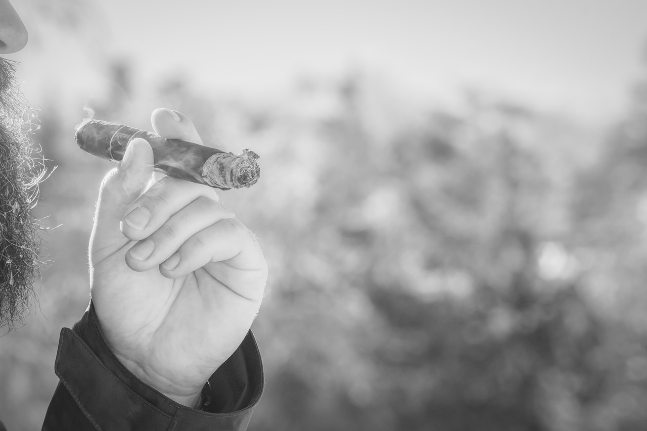 cigar, smoking cigar, smoking, man, nose, beard, ice crystals, in the free, winter, cold, masculine, black and white, cigar, cigar, cigar, cigar, cigar