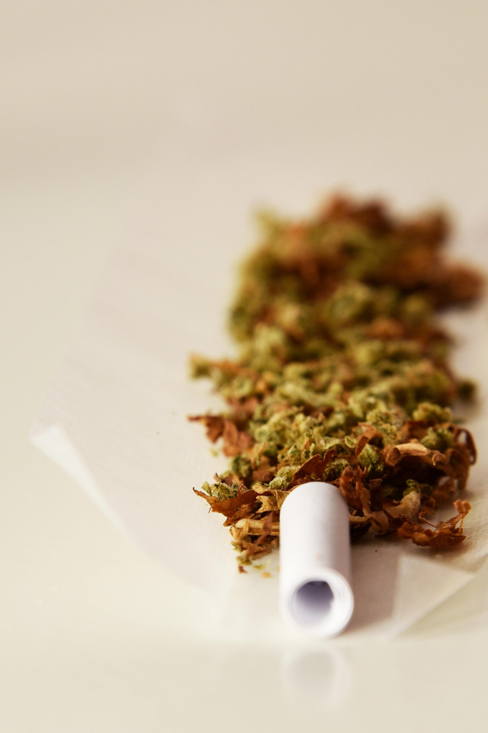 A close-up view of cannabis and tobacco mixture on rolling paper, ready for use.